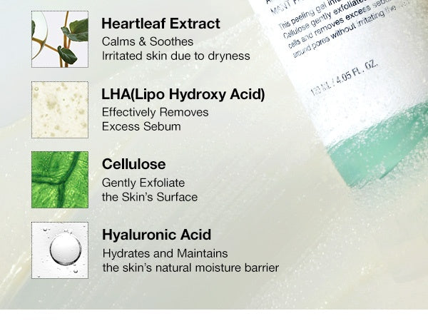🌿 Anua Heartleaf LHA Moisture Peeling Gel – 120 ml