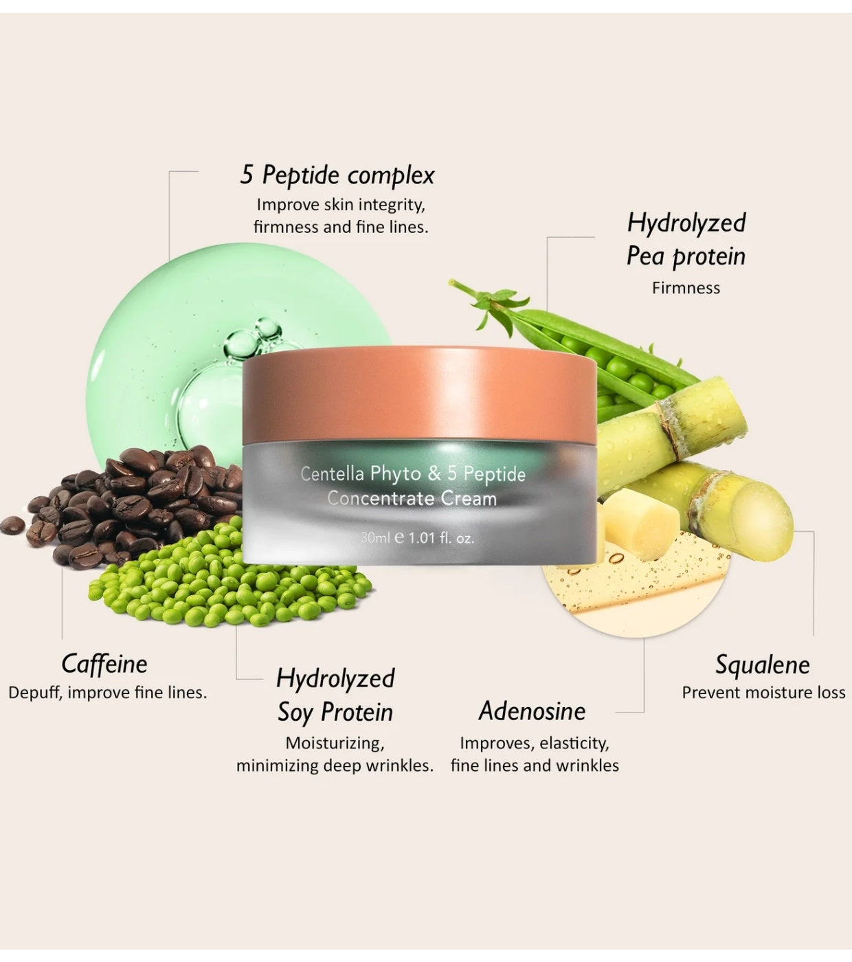 Haruharu Wonder – Centella Phyto & 5 Peptide Concentrate Cream (50ml)